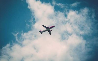 Taking Flight Overnight