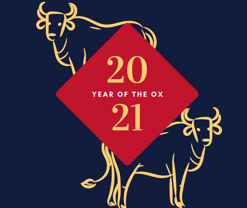 Yellow Red Ox Chinese New Year