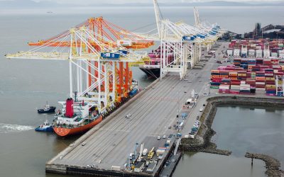 Tariffs, Trade & Customs in 2026: How to Avoid Delays and Unexpected Costs