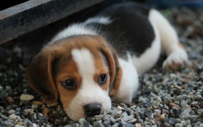 TRUCKERS ARE THE HEROES OF THE HIGHWAYS